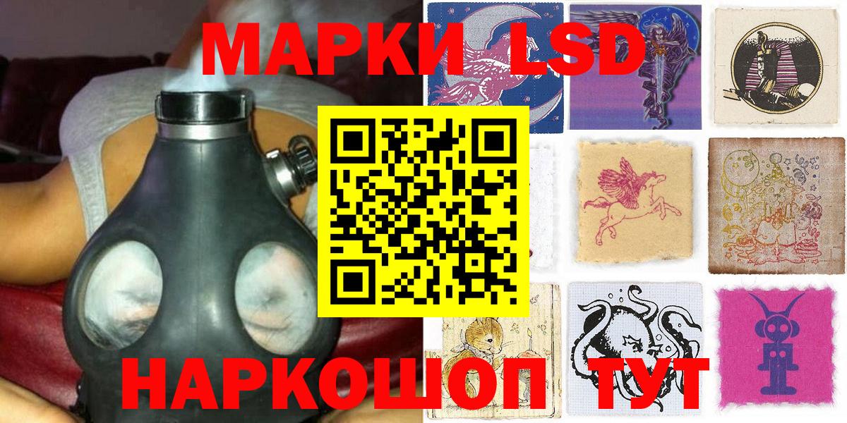 A PVP Йошкар-Ола