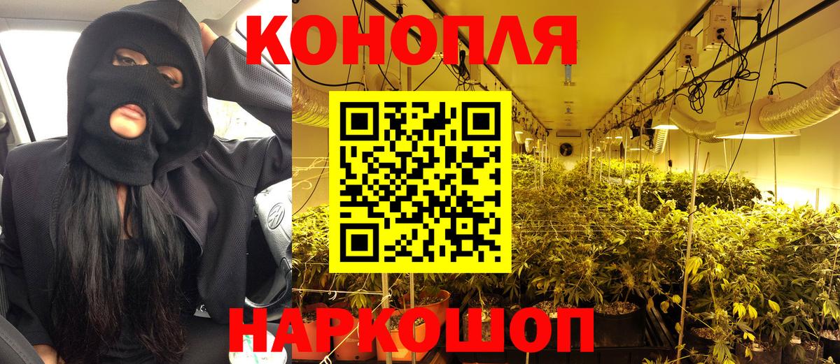 Канабис OG Kush Йошкар-Ола